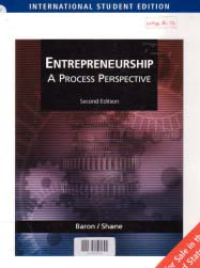 ENTREPRENEURSHIP A PROSESS PERSPECTIVE