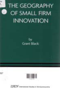 Image of THE GEOGRAPHY OF SMALL FIRM INNOVATION