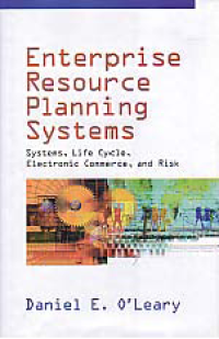 ENTERPRISE RESOURCE PLANNING SYSTEMS: Systems, Life Cycle, Electronic Commerce, and Risk