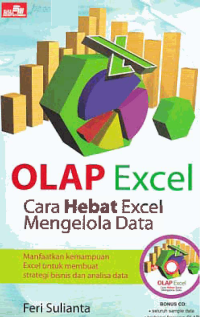 Image of OLAP EXCEL; Cara Hebat Excel Mengelola Data + CD