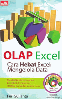 OLAP EXCEL; Cara Hebat Excel Mengelola Data + CD