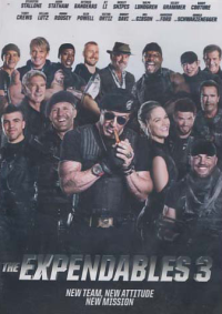 Image of THE EXPENDABLES 3