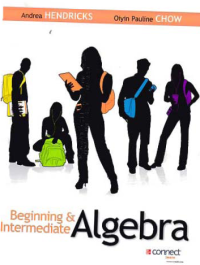 Image of BEGINNING & INTERMEDIATE ALGEBRA