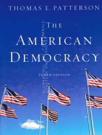 Image of THE AMERICAN DEMOCRACY