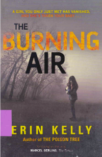 Image of THE BURNING AIR