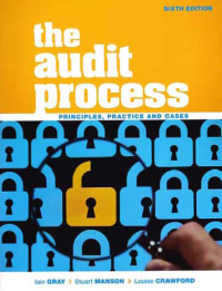 Image of THE AUDIT PROCESS; Principles, Practice and Cases