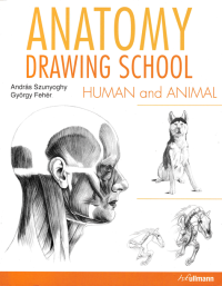 Image of ANATOMY DRAWING SCHOOL