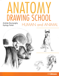 ANATOMY DRAWING SCHOOL