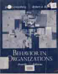 Image of BEHAVIOR IN ORGANIZATION; UNDERSTANDING AND MANAGING THE HUMAN SIDE AT WORK