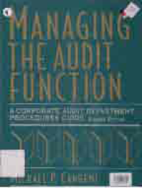 Image of MANAGING THE AUDIT FUNCTION