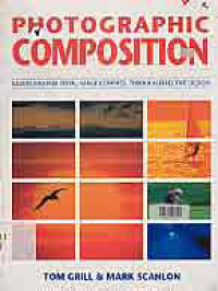 PHOTOGRAPHIC COMPOSITION