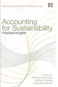 Image of ACCOUNTING FOR SUSTAINABILITY; Practical Insight