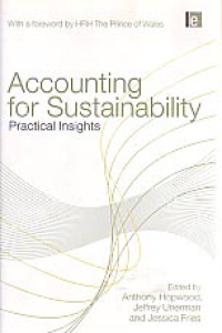 ACCOUNTING FOR SUSTAINABILITY; Practical Insight