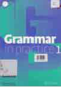 GRAMMAR IN PRACTICE 1