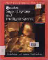 Image of DECISION SUPPORT SYSTEMS AND INTELLIGENT SYSTEM
