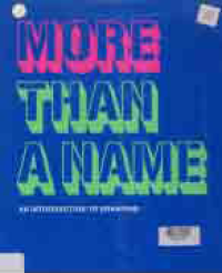Image of MORE THAN A NAME : A Introduction To Branding