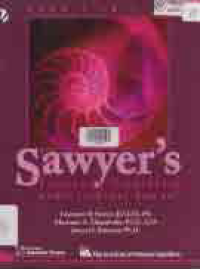 Image of INTERNAL AUDITING, AUDIT INTERNAL SAWYER (BUKU 2)