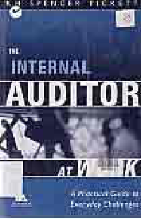 THE INTERNAL AUDITOR AT WORK A Practical Guide to Everyday Challenges