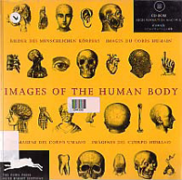 Image of IMAGE OF THE HUMAN BODY