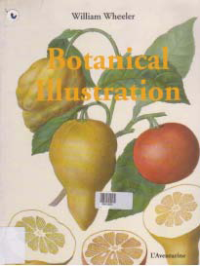 Image of BOTANICAL ILLUSTRATION