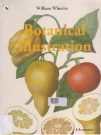 BOTANICAL ILLUSTRATION