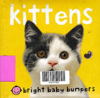Image of KITTENS: Bright Baby Bumpers