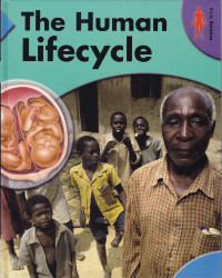 Image of THE HUMAN LIFECYCLE