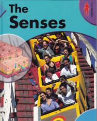 Image of THE SENSES